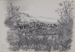 Paesaggio Assisi - matita morbida - 2013 - cm 48 x 33